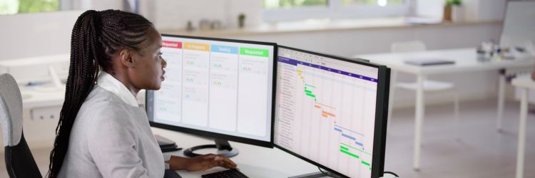 Introduction to Project Management for Finance