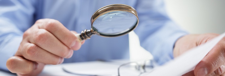 magnify magnify